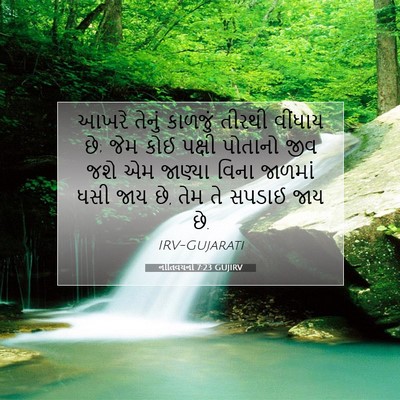Picture 07 - નીતિવચનો 7:23 GUJIRV - આખરે તેનું કાળજું - Bible Verse Picture