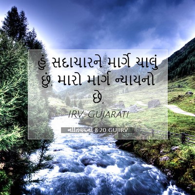 Picture 07 - નીતિવચનો 8:20 GUJIRV - હું સદાચારને - Bible Verse Picture
