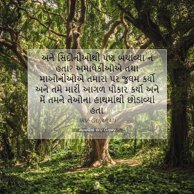 Picture 07 - ન્યાયાધીશો 10:12 GUJIRV - અને સિદોનીઓથી પણ - Bible Verse Picture
