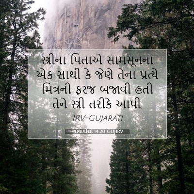 Picture 07 - ન્યાયાધીશો 14:20 GUJIRV - સ્ત્રીના પિતાએ - Bible Verse Picture