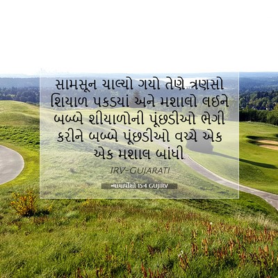 Picture 07 - ન્યાયાધીશો 15:4 GUJIRV - સામસૂન ચાલ્યો ગયો - Bible Verse Picture