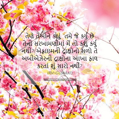 Picture 07 - ન્યાયાધીશો 8:2 GUJIRV - તેણે તેઓને કહ્યું, - Bible Verse Picture