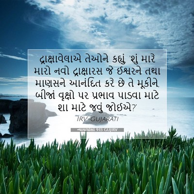 Picture 07 - ન્યાયાધીશો 9:13 GUJIRV - દ્રાક્ષાવેલાએ - Bible Verse Picture
