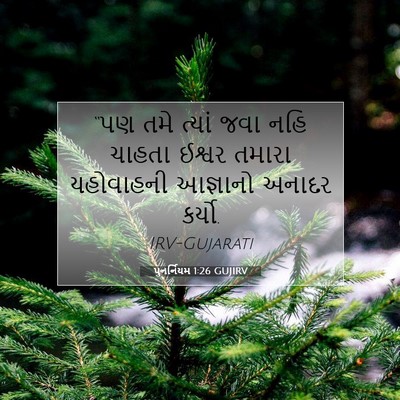 Picture 07 - પુનર્નિયમ 1:26 GUJIRV - “પણ તમે ત્યાં જવા - Bible Verse Picture