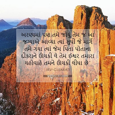 Picture 07 - પુનર્નિયમ 1:31 GUJIRV - અરણ્યમાં પણ તમે - Bible Verse Picture