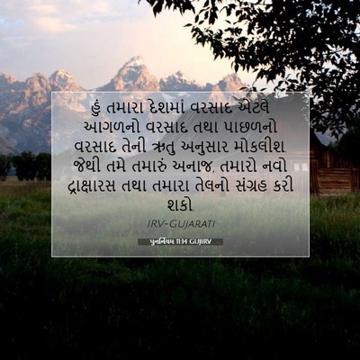 Picture 07 - પુનર્નિયમ 11:14 GUJIRV - હું તમારા દેશમાં - Bible Verse Picture