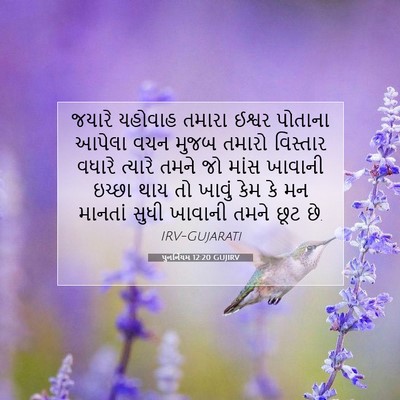 Picture 07 - પુનર્નિયમ 12:20 GUJIRV - જયારે યહોવાહ - Bible Verse Picture