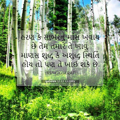 Picture 07 - પુનર્નિયમ 12:22 GUJIRV - હરણ કે સાબરનું - Bible Verse Picture