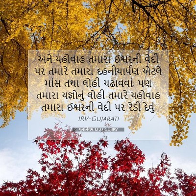 Picture 07 - પુનર્નિયમ 12:27 GUJIRV - અને યહોવાહ તમારા - Bible Verse Picture