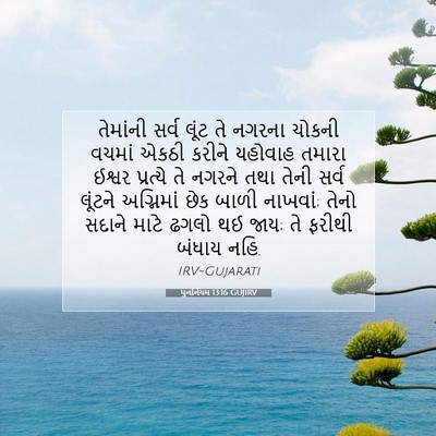 Picture 07 - પુનર્નિયમ 13:16 GUJIRV - તેમાંની સર્વ લૂંટ - Bible Verse Picture