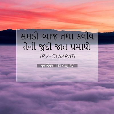Picture 07 - પુનર્નિયમ 14:13 GUJIRV - સમડી, બાજ તથા કલીલ - Bible Verse Picture
