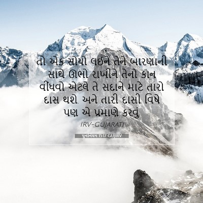 Picture 07 - પુનર્નિયમ 15:17 GUJIRV - તો એક સોયો લઈને - Bible Verse Picture