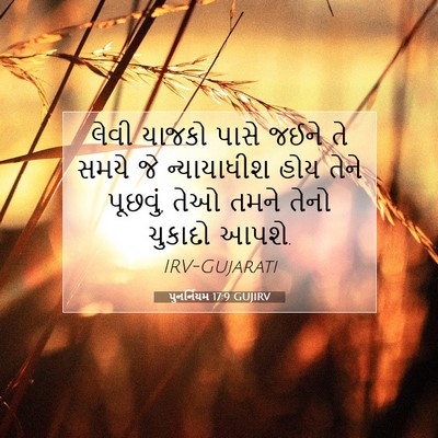 Picture 07 - પુનર્નિયમ 17:9 GUJIRV - લેવી યાજકો પાસે - Bible Verse Picture