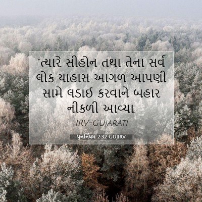 Picture 07 - પુનર્નિયમ 2:32 GUJIRV - “ત્યારે સીહોન તથા - Bible Verse Picture