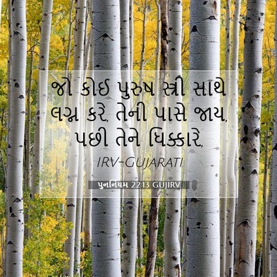 Picture 07 - પુનર્નિયમ 22:13 GUJIRV - જો કોઈ પુરુષ - Bible Verse Picture