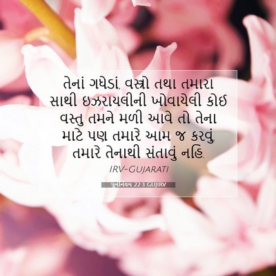 Picture 07 - પુનર્નિયમ 22:3 GUJIRV - તેનાં ગધેડાં, - Bible Verse Picture