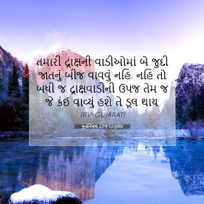 Picture 07 - પુનર્નિયમ 22:9 GUJIRV - તમારી દ્રાક્ષની - Bible Verse Picture