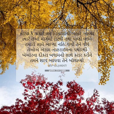 Picture 07 - પુનર્નિયમ 23:4 GUJIRV - કારણ કે, જયારે તમે - Bible Verse Picture
