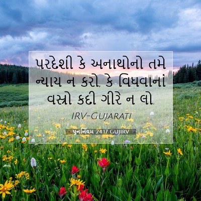 Picture 07 - પુનર્નિયમ 24:17 GUJIRV - પરદેશી કે અનાથોનો - Bible Verse Picture