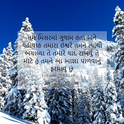 Picture 07 - પુનર્નિયમ 24:18 GUJIRV - તમે મિસરમાં ગુલામ - Bible Verse Picture