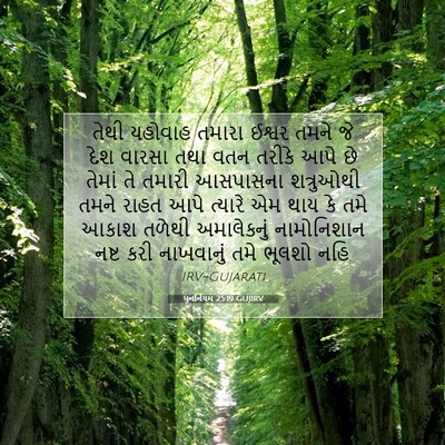 Picture 07 - પુનર્નિયમ 25:19 GUJIRV - તેથી યહોવાહ તમારા - Bible Verse Picture