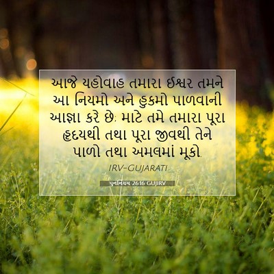 Picture 07 - પુનર્નિયમ 26:16 GUJIRV - આજે યહોવાહ તમારા - Bible Verse Picture