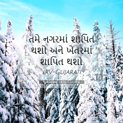 Picture 07 - પુનર્નિયમ 28:16 GUJIRV - તમે નગરમાં શાપિત - Bible Verse Picture