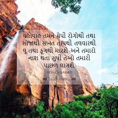 Picture 07 - પુનર્નિયમ 28:22 GUJIRV - યહોવાહ તમને ચેપી - Bible Verse Picture
