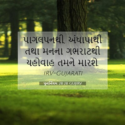 Picture 07 - પુનર્નિયમ 28:28 GUJIRV - પાગલપનથી, - Bible Verse Picture