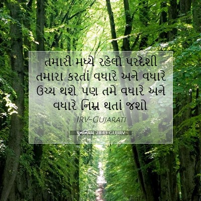 Picture 07 - પુનર્નિયમ 28:43 GUJIRV - તમારી મધ્યે રહેલો - Bible Verse Picture