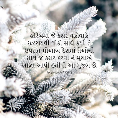 Picture 07 - પુનર્નિયમ 29:1 GUJIRV - હોરેબમાં જે કરાર - Bible Verse Picture