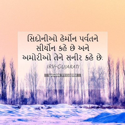 Picture 07 - પુનર્નિયમ 3:9 GUJIRV - સિદોનીઓ હેર્મોન - Bible Verse Picture