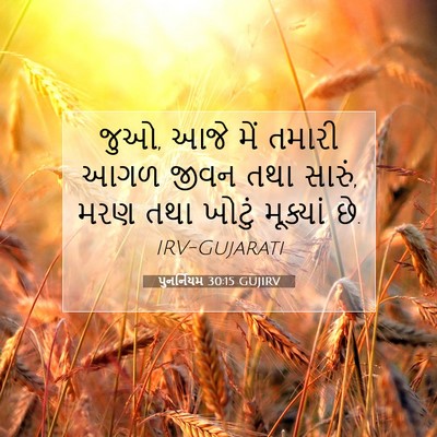 Picture 07 - પુનર્નિયમ 30:15 GUJIRV - જુઓ, આજે મેં તમારી - Bible Verse Picture