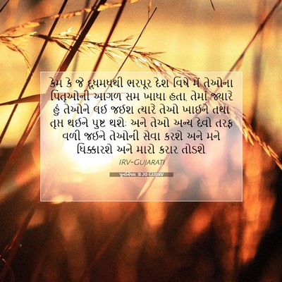 Picture 07 - પુનર્નિયમ 31:20 GUJIRV - કેમ કે જે દૂધમધથી - Bible Verse Picture