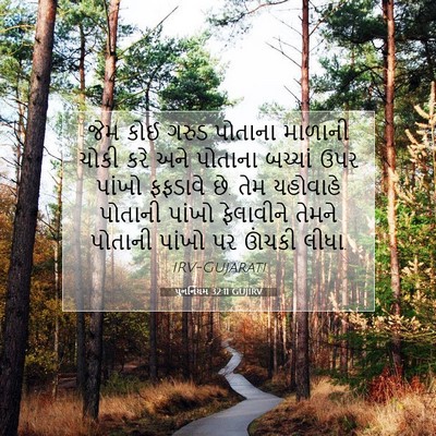 Picture 07 - પુનર્નિયમ 32:11 GUJIRV - જેમ કોઈ ગરુડ - Bible Verse Picture