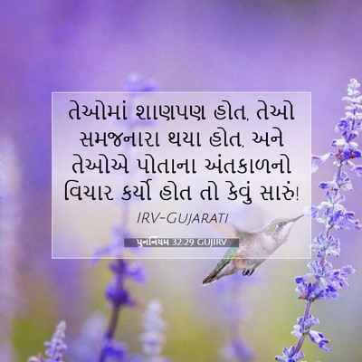 Picture 07 - પુનર્નિયમ 32:29 GUJIRV - તેઓમાં શાણપણ હોત, - Bible Verse Picture