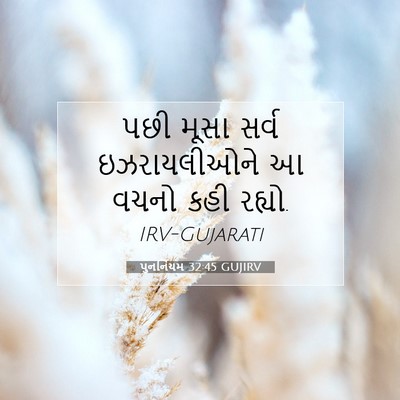 Picture 07 - પુનર્નિયમ 32:45 GUJIRV - પછી મૂસા સર્વ - Bible Verse Picture
