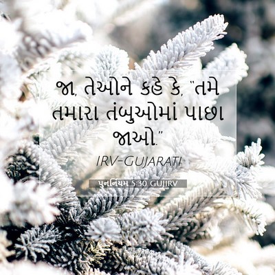 Picture 07 - પુનર્નિયમ 5:30 GUJIRV - જા, તેઓને કહે કે, - Bible Verse Picture