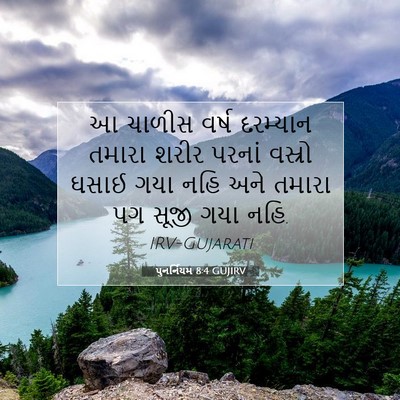 Picture 07 - પુનર્નિયમ 8:4 GUJIRV - આ ચાળીસ વર્ષ - Bible Verse Picture