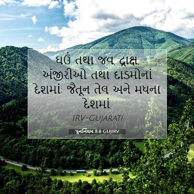 Picture 07 - પુનર્નિયમ 8:8 GUJIRV - ઘઉં તથા જવ, - Bible Verse Picture