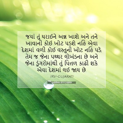 Picture 07 - પુનર્નિયમ 8:9 GUJIRV - જયાં તું ધરાઈને - Bible Verse Picture