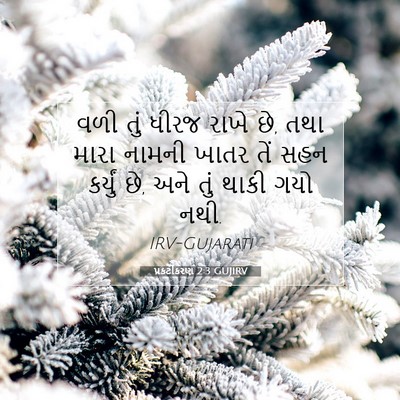 Picture 07 - પ્રકટીકરણ 2:3 GUJIRV - વળી તું ધીરજ રાખે - Bible Verse Picture