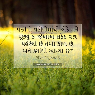Picture 07 - પ્રકટીકરણ 7:13 GUJIRV - પછી તે વડીલોમાંથી - Bible Verse Picture