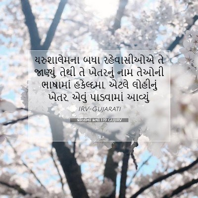 Picture 07 - પ્રેરિતોનાં ક્રત્યો 1:19 GUJIRV - યરુશાલેમના બધા - Bible Verse Picture