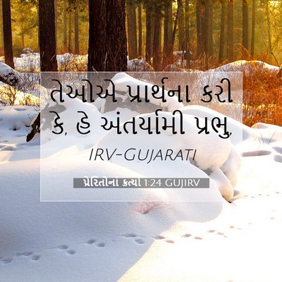 Picture 07 - પ્રેરિતોનાં ક્રત્યો 1:24 GUJIRV - તેઓએ પ્રાર્થના - Bible Verse Picture