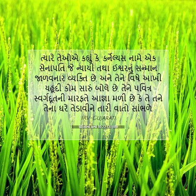 Picture 07 - પ્રેરિતોનાં ક્રત્યો 10:22 GUJIRV - ત્યારે તેઓએ - Bible Verse Picture