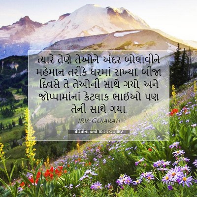 Picture 07 - પ્રેરિતોનાં ક્રત્યો 10:23 GUJIRV - ત્યારે તેણે તેઓને - Bible Verse Picture