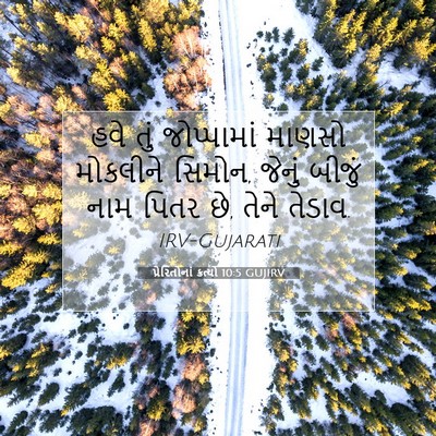 Picture 07 - પ્રેરિતોનાં ક્રત્યો 10:5 GUJIRV - હવે તું જોપ્પામાં - Bible Verse Picture