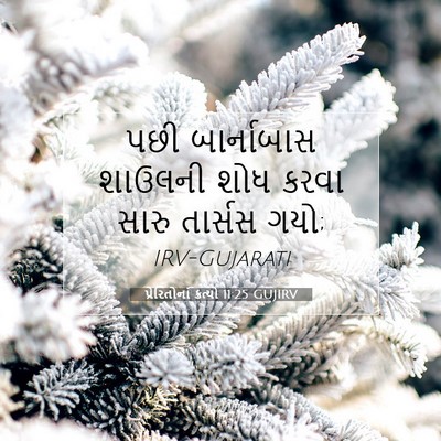 Picture 07 - પ્રેરિતોનાં ક્રત્યો 11:25 GUJIRV - પછી બાર્નાબાસ - Bible Verse Picture