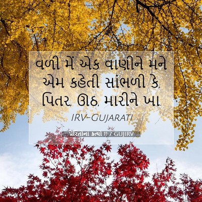 Picture 07 - પ્રેરિતોનાં ક્રત્યો 11:7 GUJIRV - વળી મેં એક વાણીને - Bible Verse Picture
